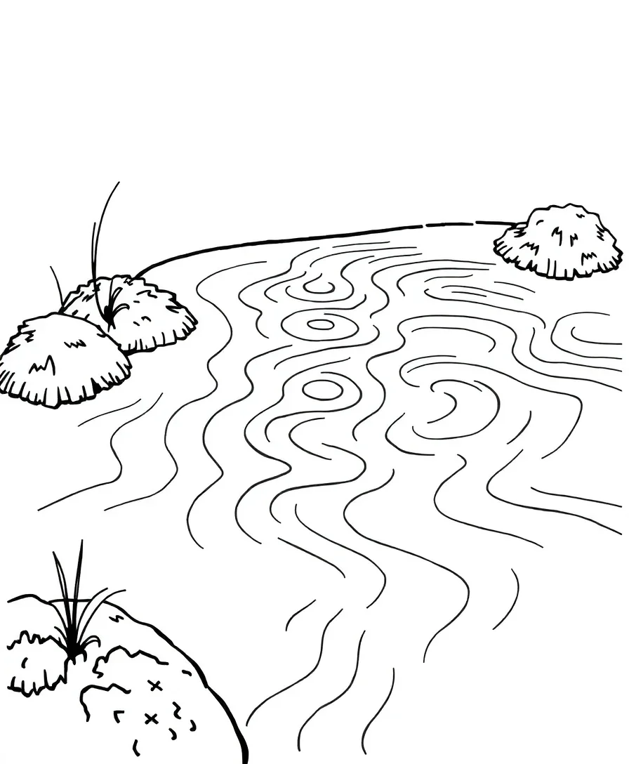 Zen Gardens