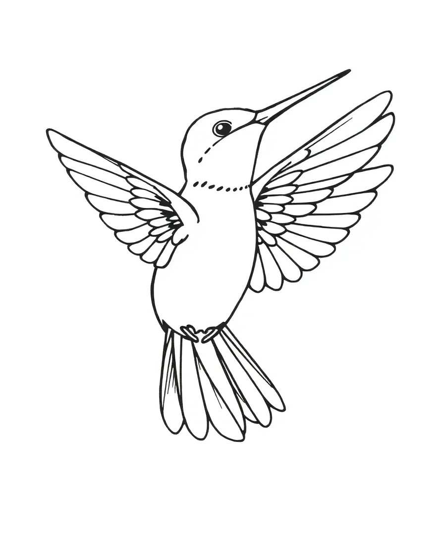 Graceful Hummingbird