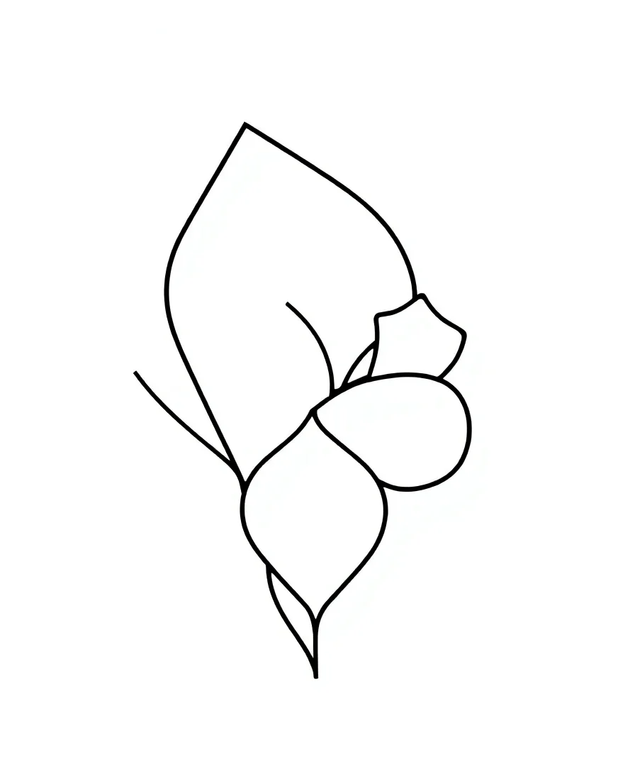 Geometric Abstract Designs