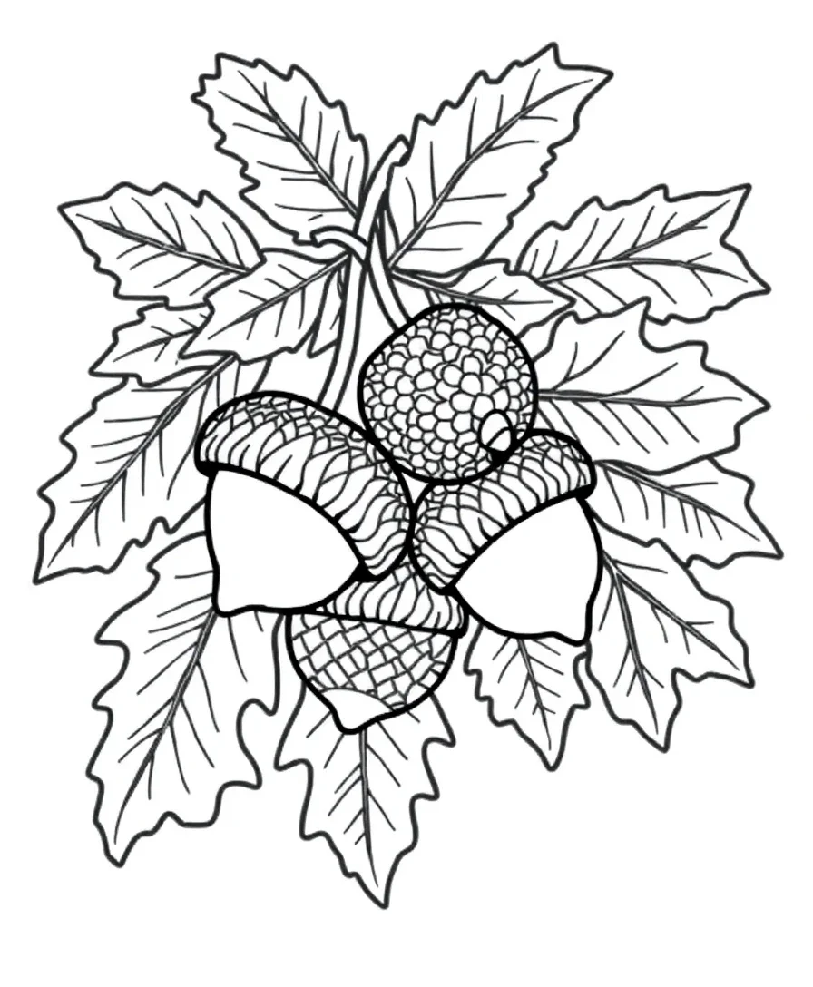 Intricate Acorn and Oak Leaves