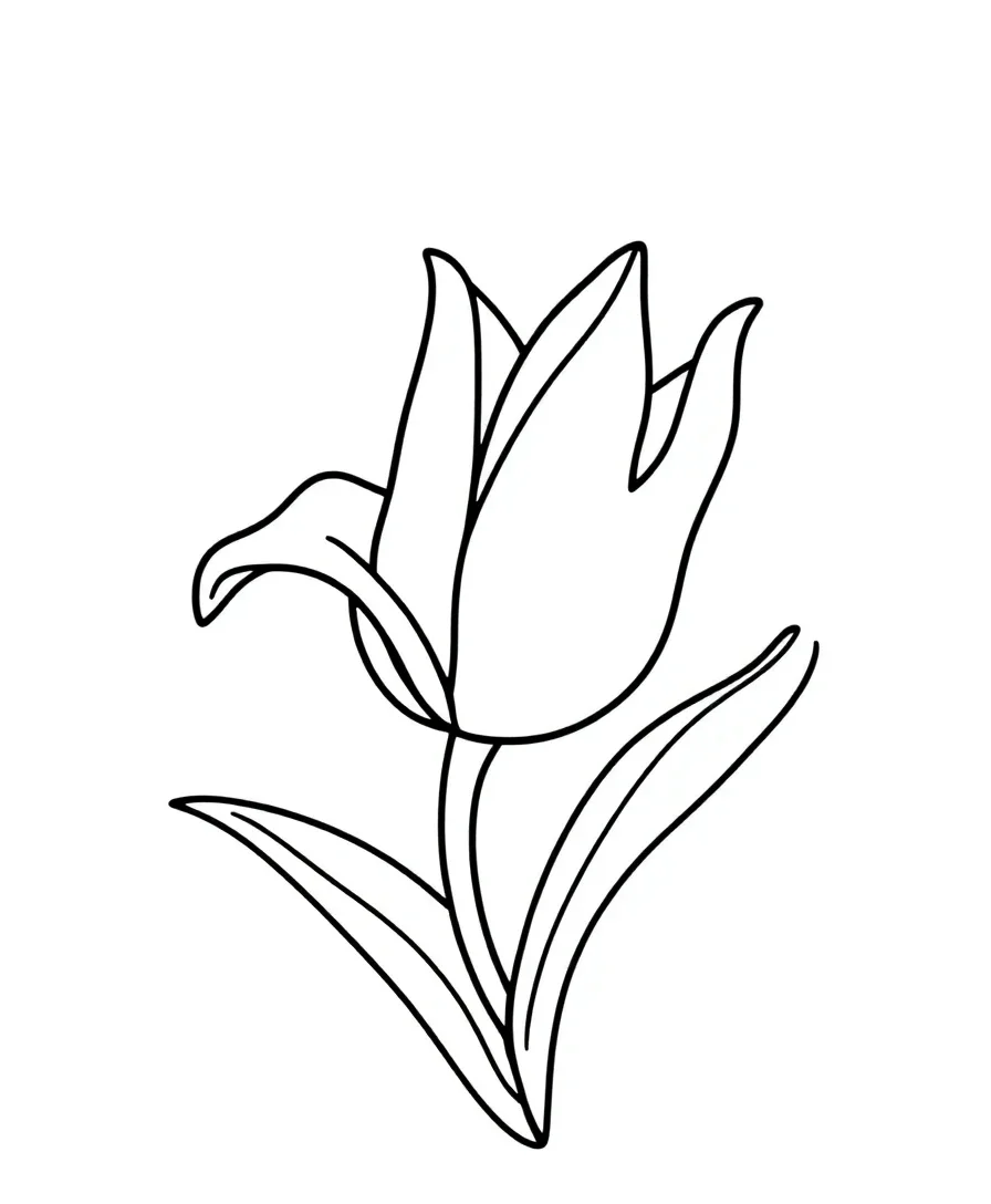 Bold Tulip Forms