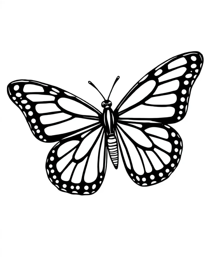 5 Striking Butterfly Designs for Coloring Enthusiasts