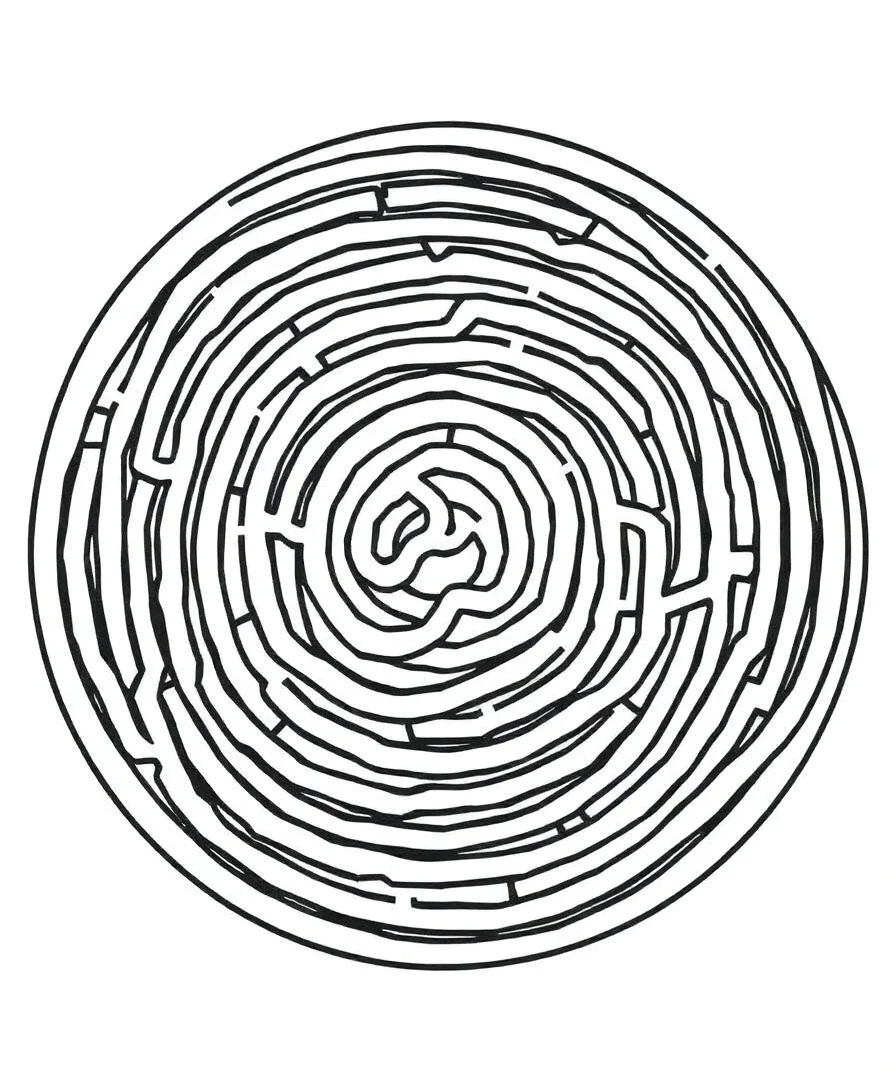Intricate maze pattern with winding paths and detailed line work
