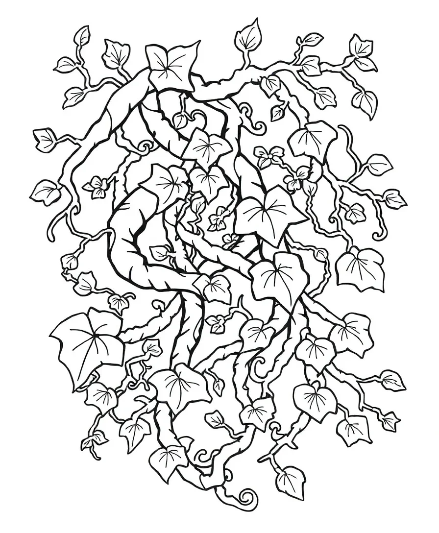 Line art of sweeping vines and branches