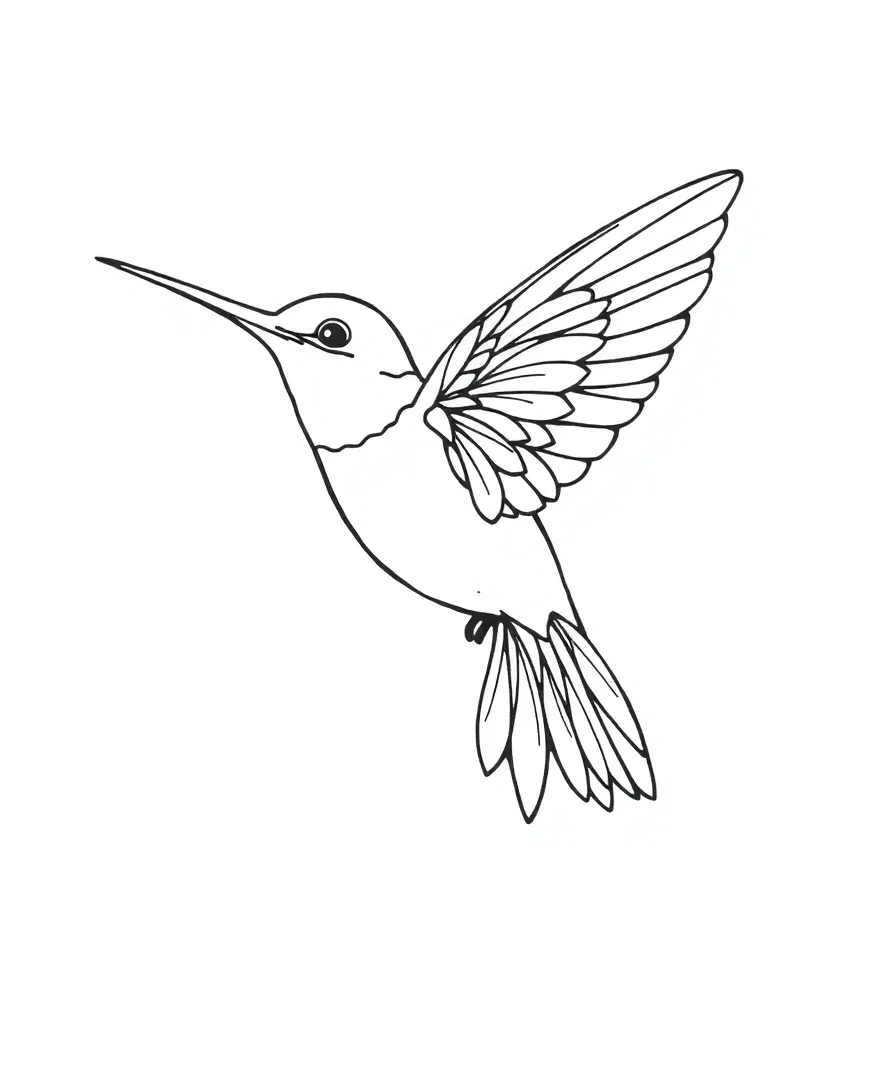 Black and white line art of a delicate hummingbird with detailed lines