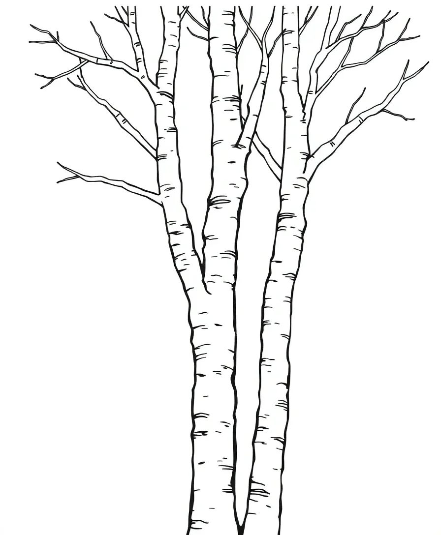 Line art of a mystical birch tree with detailed line work