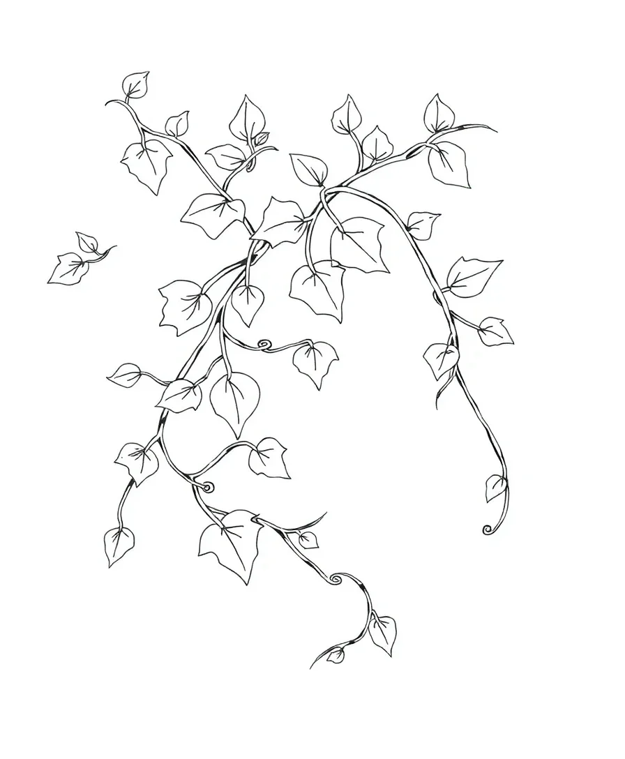 Nature’s Embrace