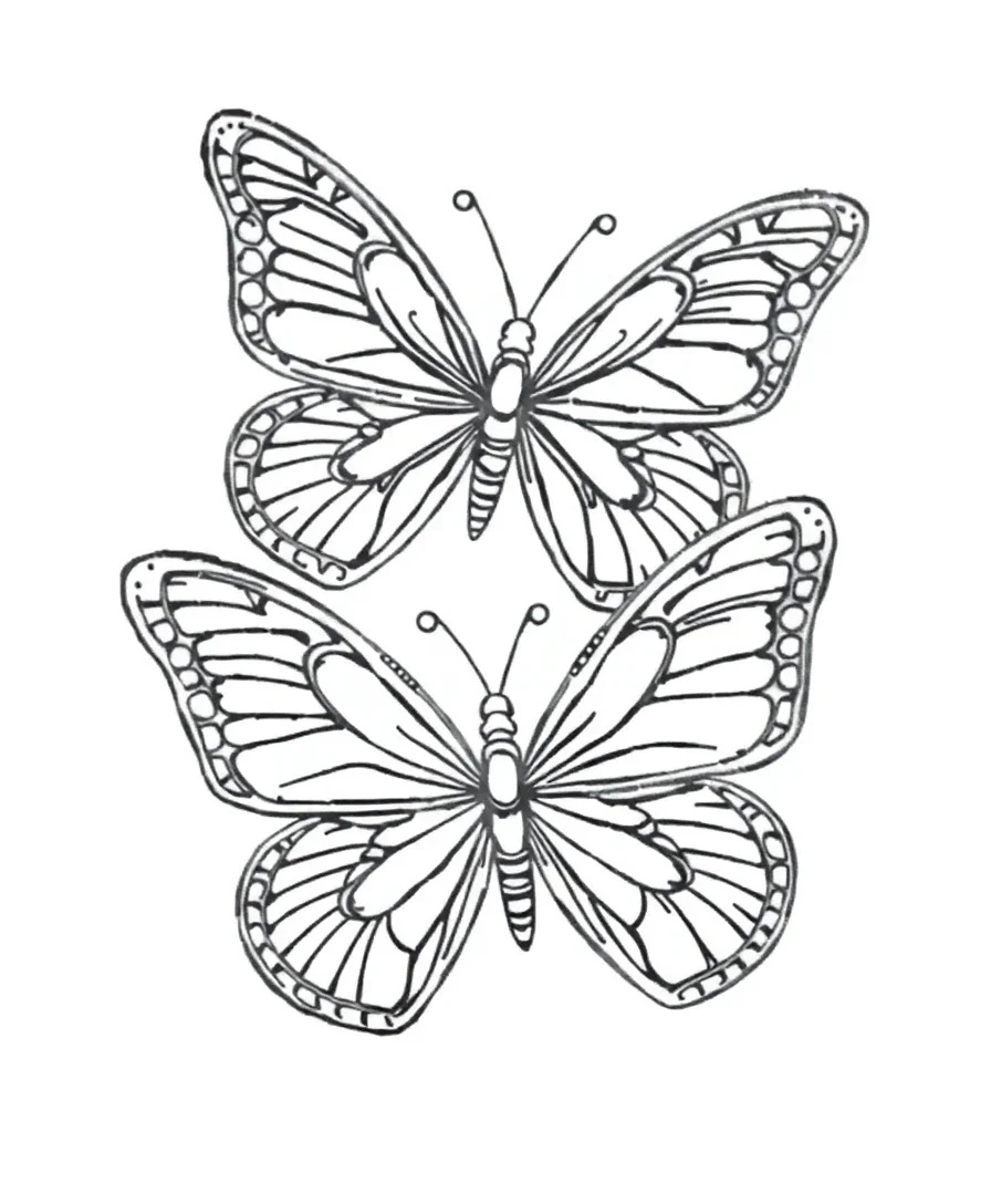 Delicate Butterfly Bliss