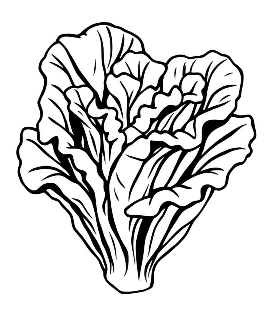 Luscious Lettuce Layers