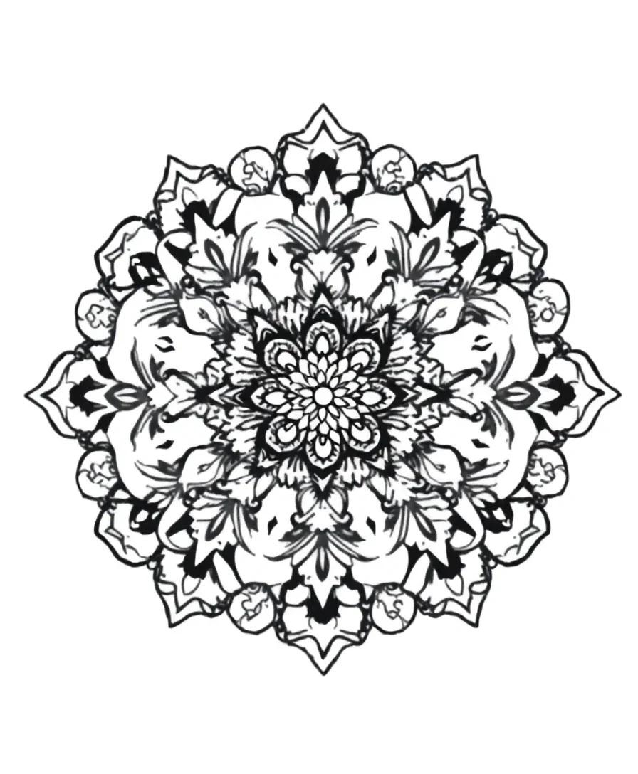 Delicate Lace Patterns