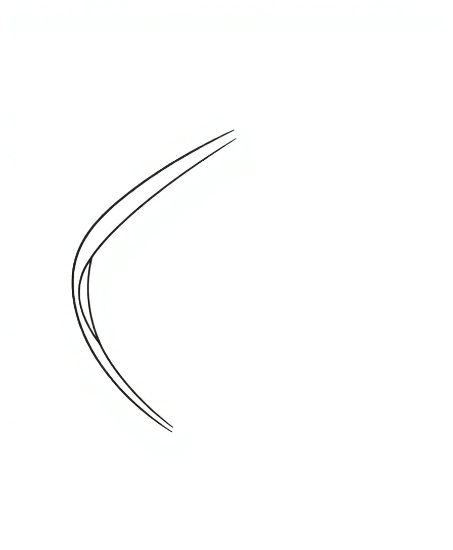 Abstract Expression