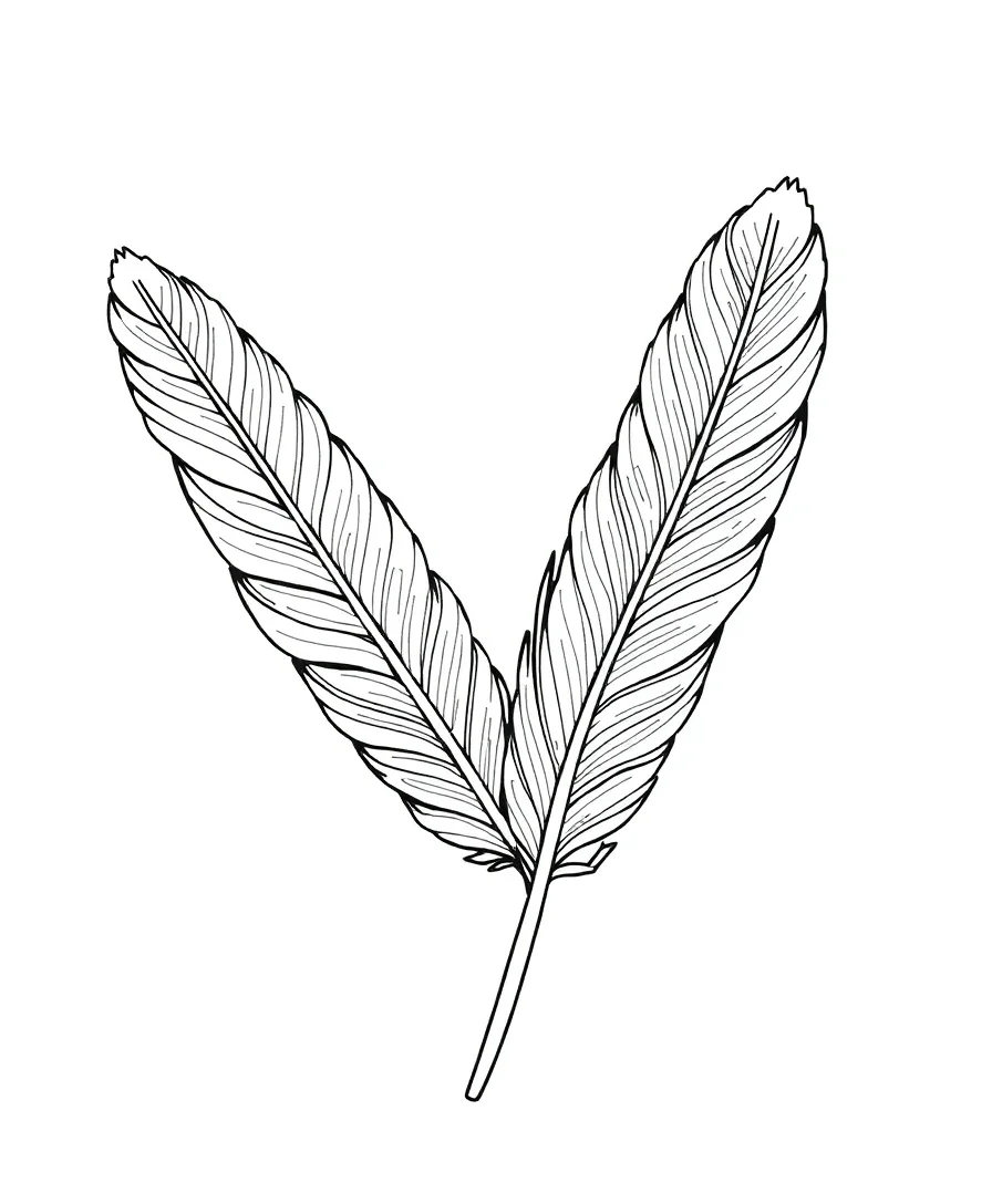 Elegant Feather Patterns