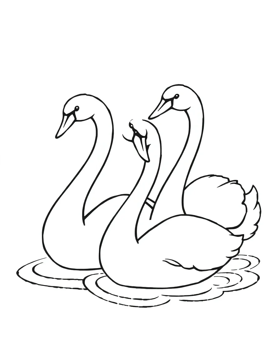 Graceful Swans