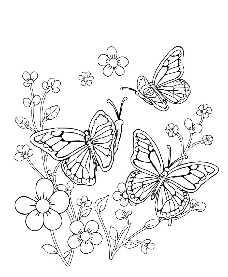 Elegant Butterfly Garden