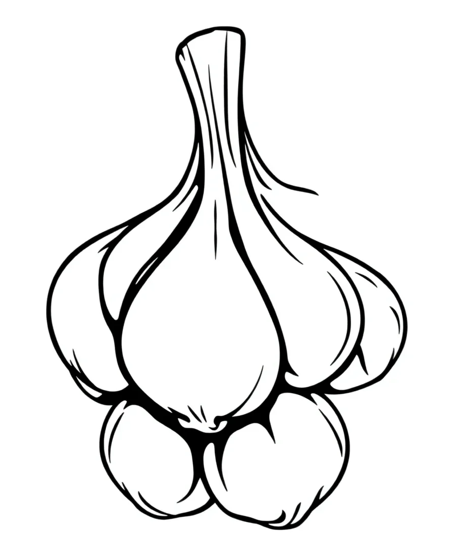 Graceful Garlic Cloves