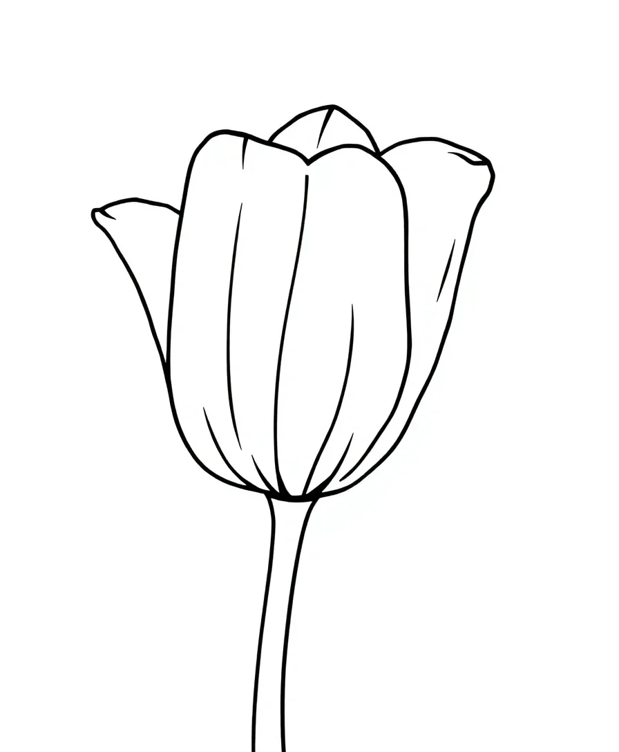 Timeless Tulip Arrangements