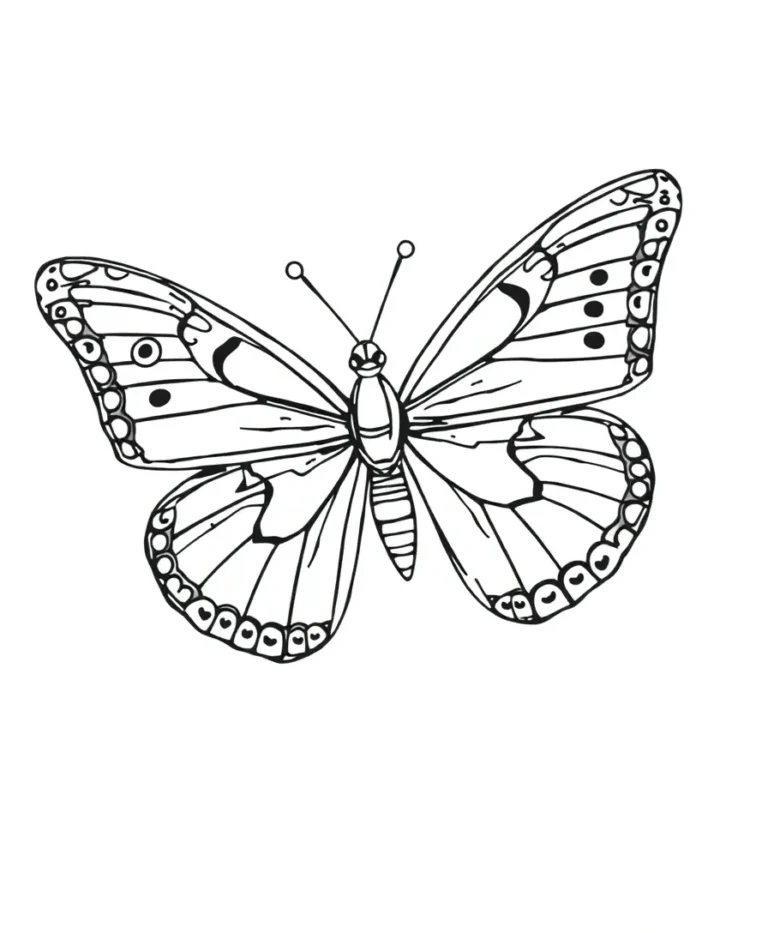 15 Striking Butterfly Coloring Pages for Line Art Lovers