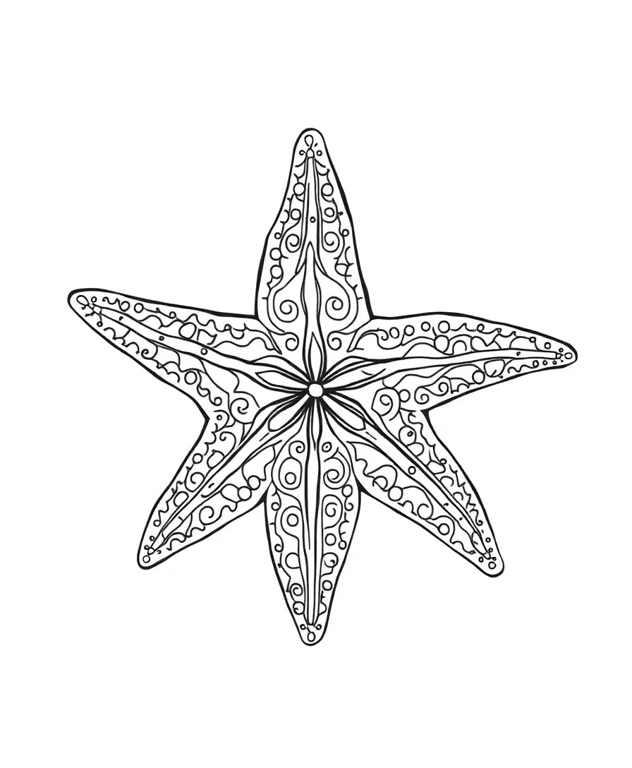Detailed Starfish