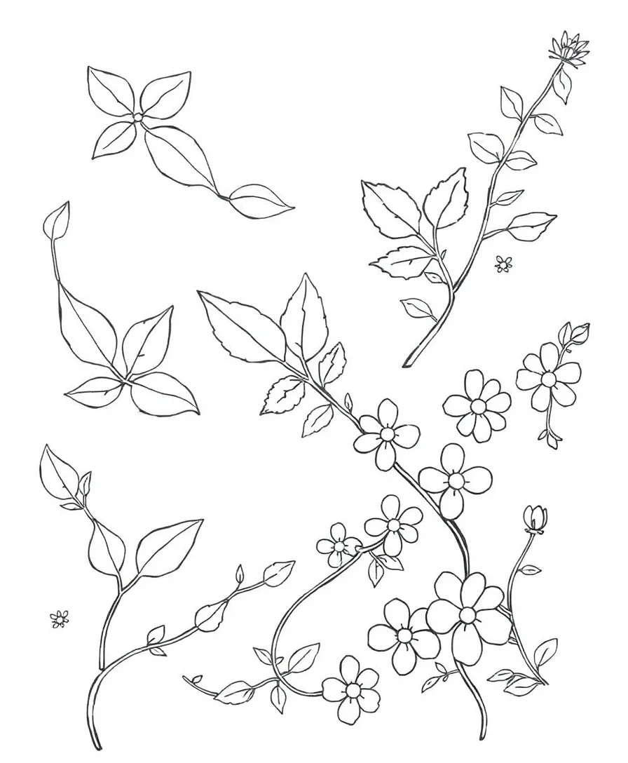 Nature's Abstract